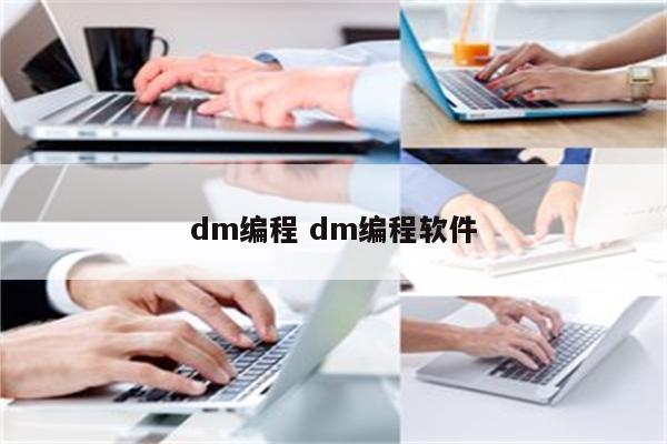 dm编程 dm编程软件