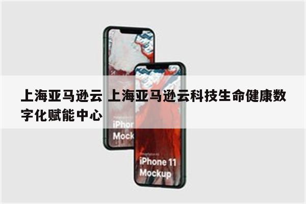 上海亚马逊云 上海亚马逊云科技生命健康数字化赋能中心
