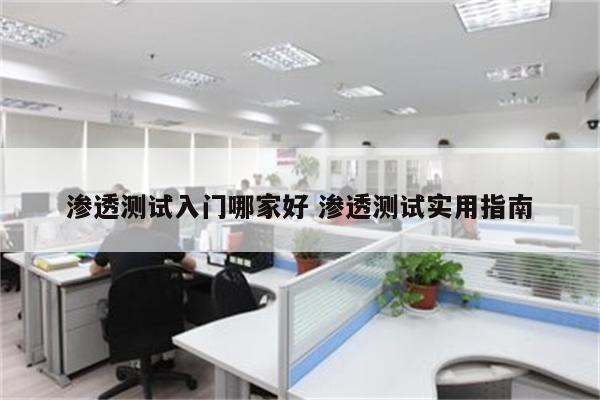 渗透测试入门哪家好 渗透测试实用指南