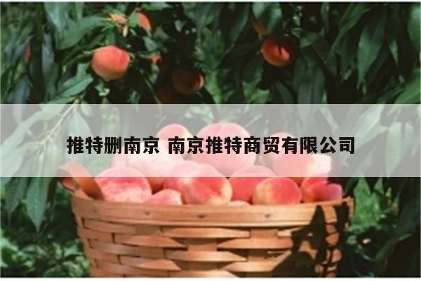 推特删南京 南京推特商贸有限公司