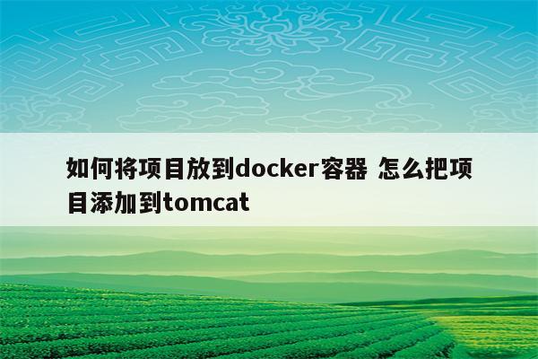 如何将项目放到docker容器 怎么把项目添加到tomcat