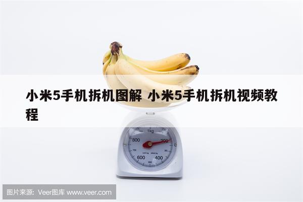 小米5手机拆机图解 小米5手机拆机视频教程