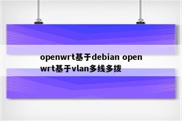 openwrt基于debian openwrt基于vlan多线多拨
