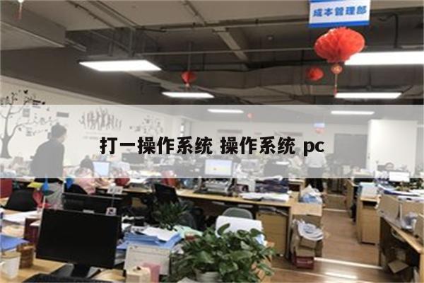 打一操作系统 操作系统 pc