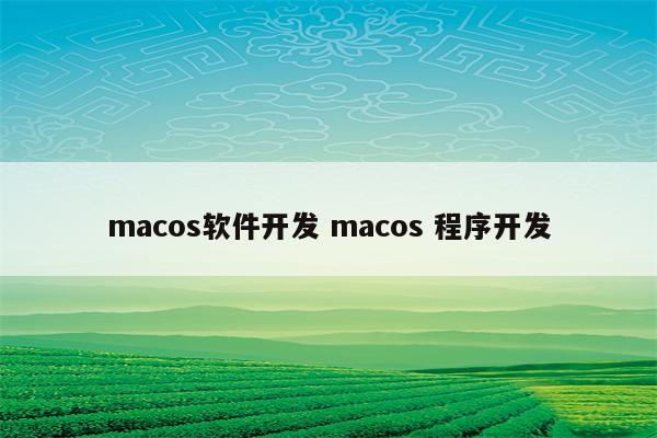 macos软件开发 macos 程序开发
