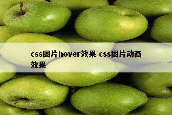 css图片hover效果 css图片动画效果