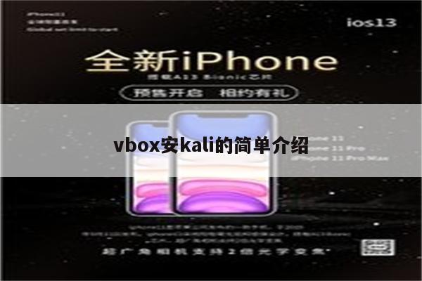 vbox安kali的简单介绍