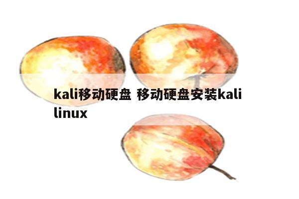 kali移动硬盘 移动硬盘安装kali linux