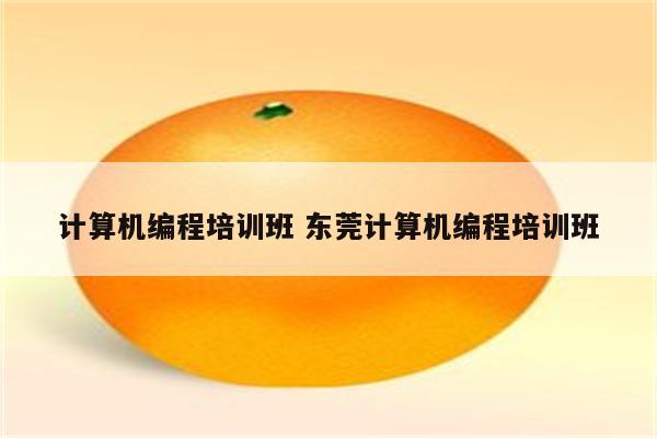 计算机编程培训班 东莞计算机编程培训班