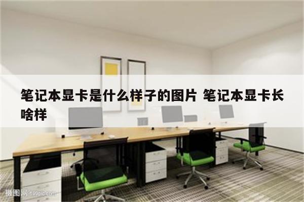 笔记本显卡是什么样子的图片 笔记本显卡长啥样