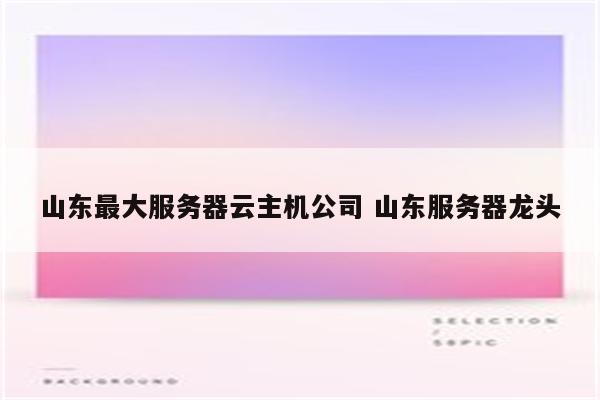 山东最大服务器云主机公司 山东服务器龙头
