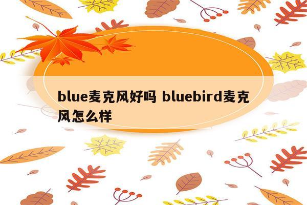 blue麦克风好吗 bluebird麦克风怎么样
