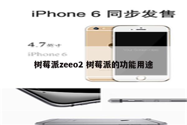 树莓派zeeo2 树莓派的功能用途