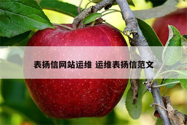 表扬信网站运维 运维表扬信范文