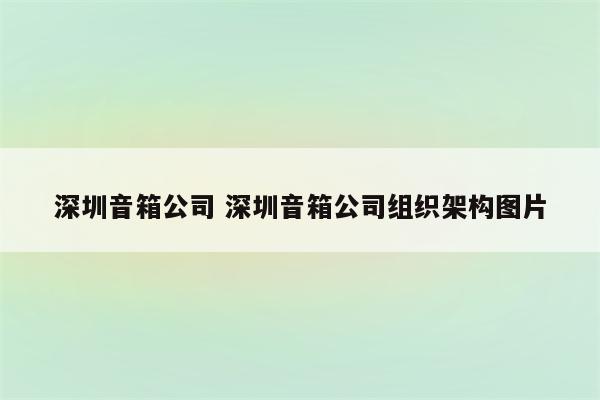 深圳音箱公司 深圳音箱公司组织架构图片