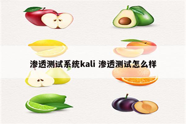 渗透测试系统kali 渗透测试怎么样