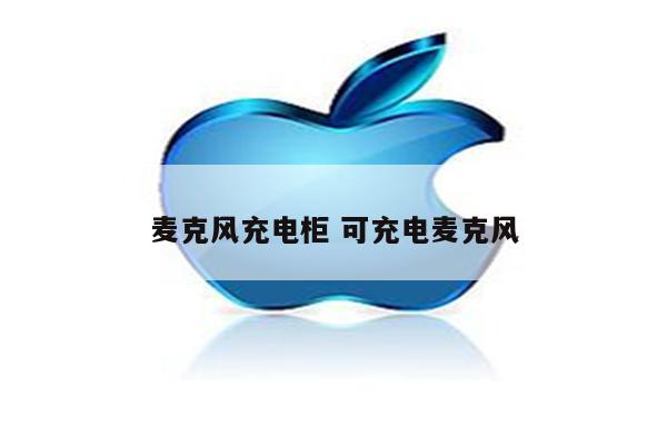 麦克风充电柜 可充电麦克风