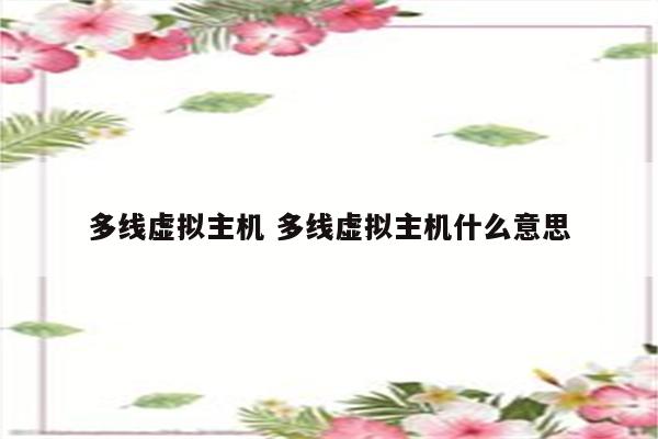 多线虚拟主机 多线虚拟主机什么意思