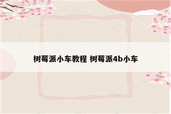 树莓派小车教程 树莓派4b小车