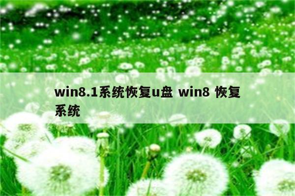 win8.1系统恢复u盘 win8 恢复系统