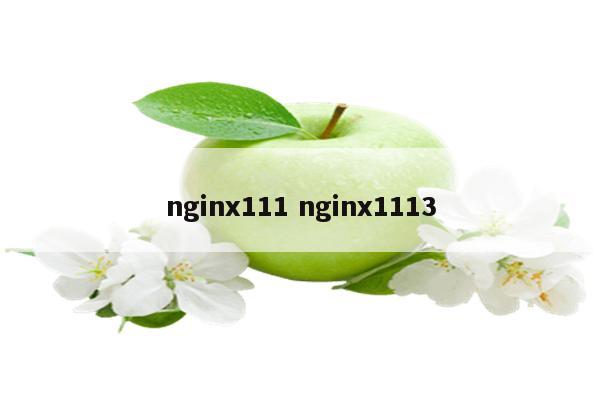 nginx111 nginx1113