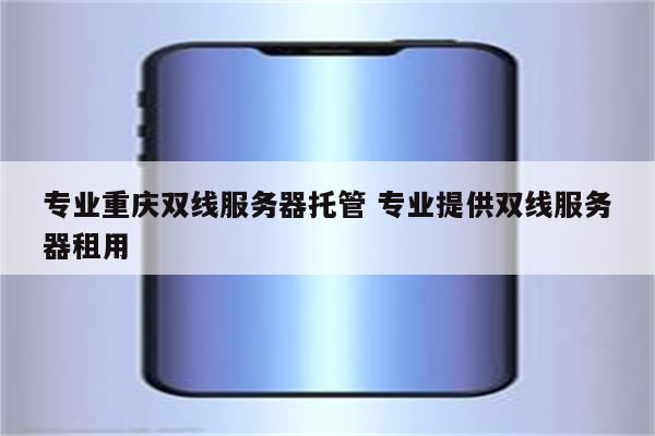 专业重庆双线服务器托管 专业提供双线服务器租用