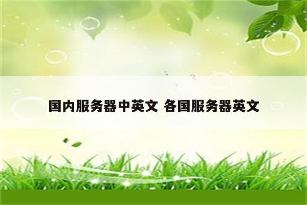 国内服务器中英文 各国服务器英文