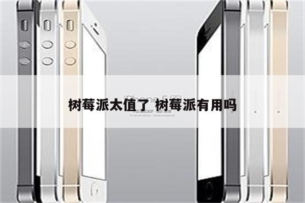 树莓派太值了 树莓派有用吗