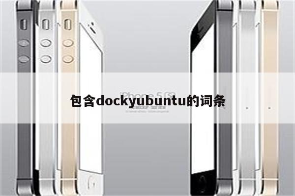 包含dockyubuntu的词条