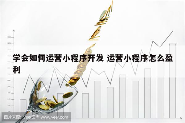 学会如何运营小程序开发 运营小程序怎么盈利