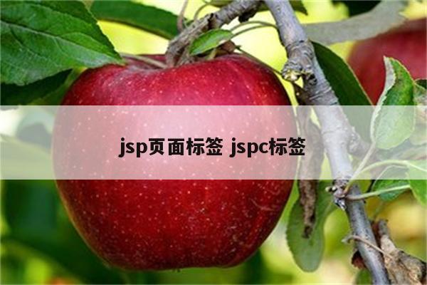 jsp页面标签 jspc标签