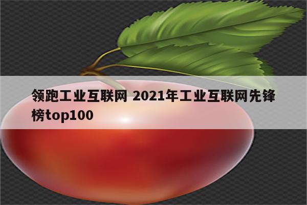 领跑工业互联网 2021年工业互联网先锋榜top100