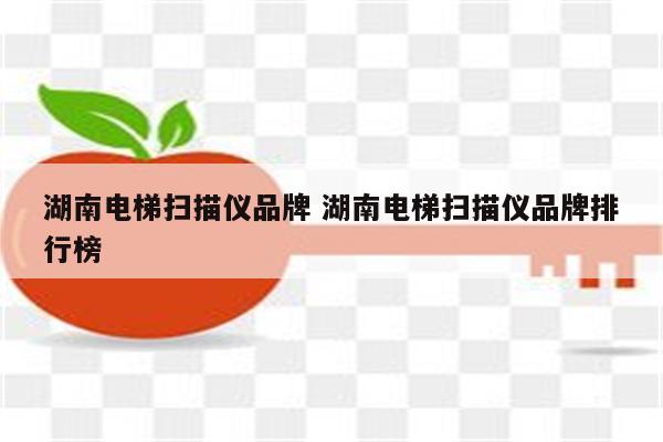 湖南电梯扫描仪品牌 湖南电梯扫描仪品牌排行榜