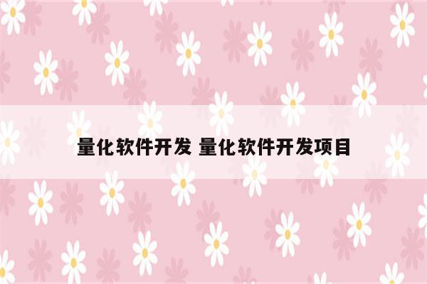 量化软件开发 量化软件开发项目
