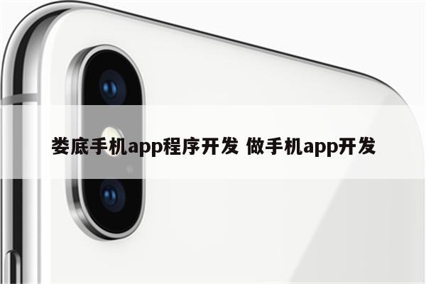 娄底手机app程序开发 做手机app开发