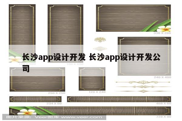 长沙app设计开发 长沙app设计开发公司