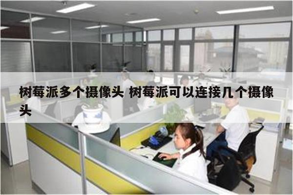 树莓派多个摄像头 树莓派可以连接几个摄像头