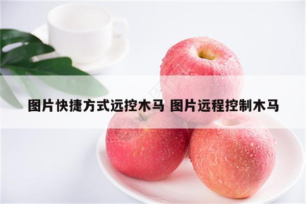 图片快捷方式远控木马 图片远程控制木马