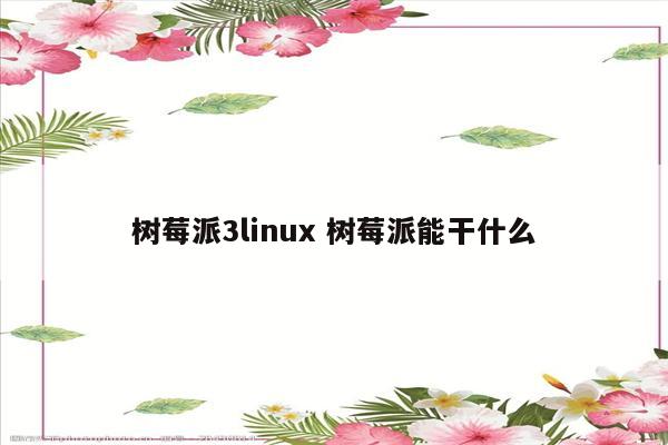 树莓派3linux 树莓派能干什么