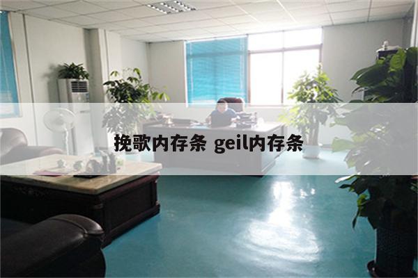 挽歌内存条 geil内存条