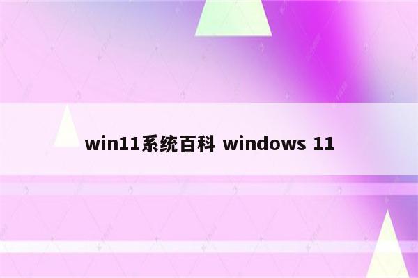 win11系统百科 windows 11