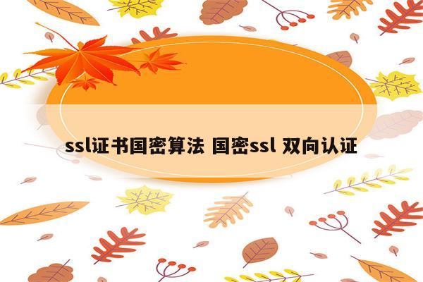 ssl证书国密算法 国密ssl 双向认证