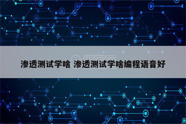 渗透测试学啥 渗透测试学啥编程语音好