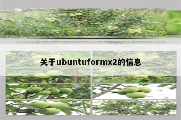 关于ubuntuformx2的信息