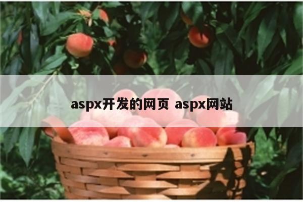 aspx开发的网页 aspx网站