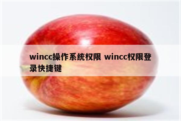 wincc操作系统权限 wincc权限登录快捷键