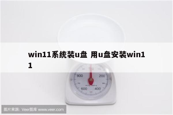 win11系统装u盘 用u盘安装win11