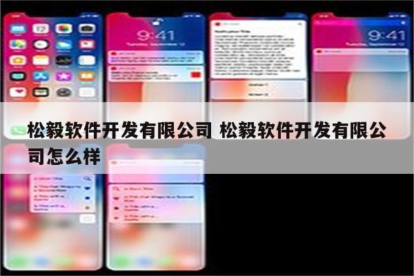 松毅软件开发有限公司 松毅软件开发有限公司怎么样