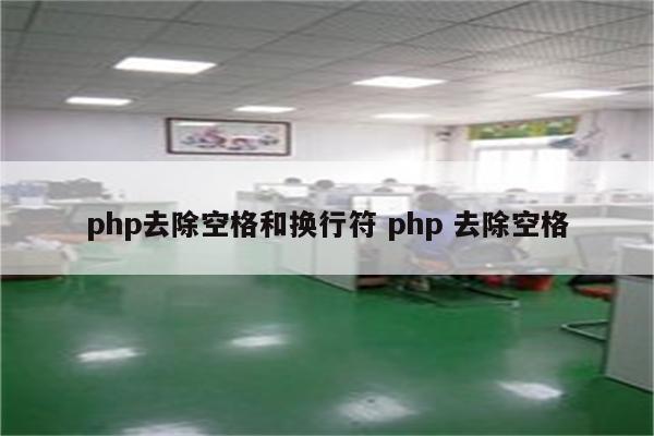 php去除空格和换行符 php 去除空格