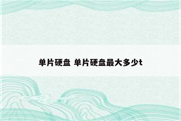 单片硬盘 单片硬盘最大多少t